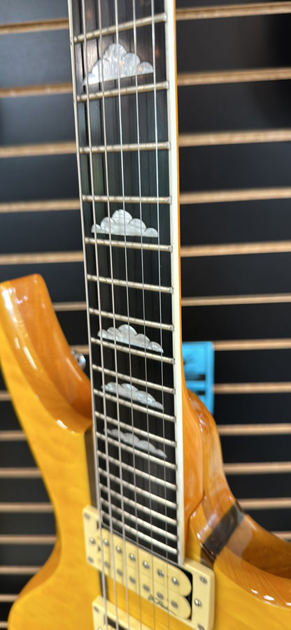 BC Rich NJ Series (used)