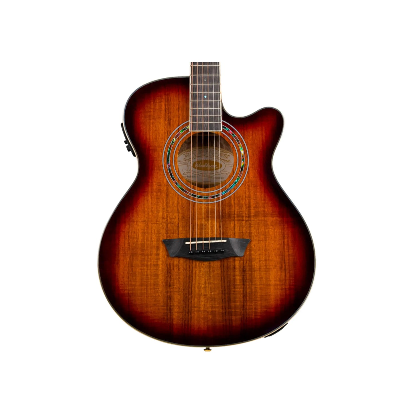 Washburn EA55G-A-U