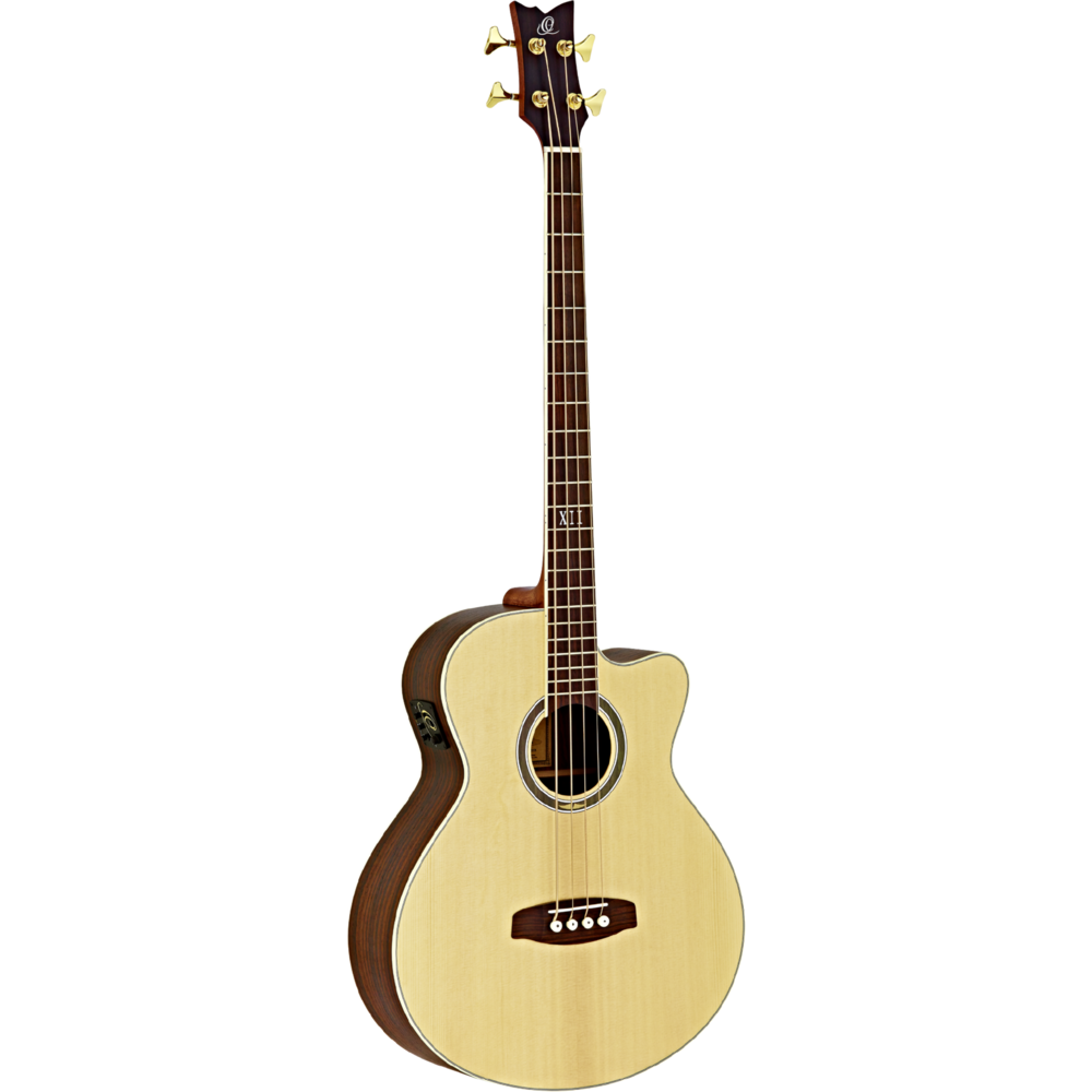 Ortega Acoustic Bass Deep Series 5, 4-string with case