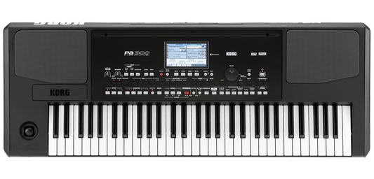 KORG PA300