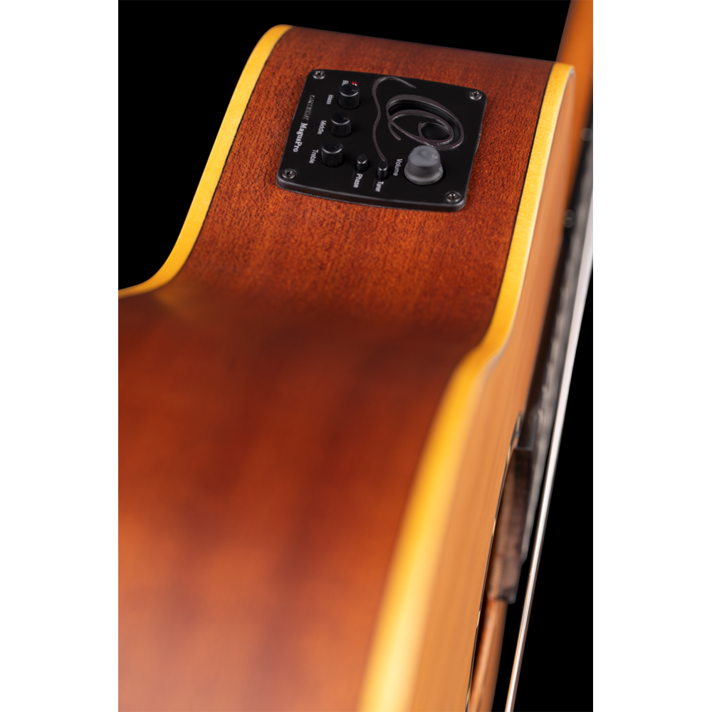 Ortega Family Series Pro Nylon String 4/4 with case